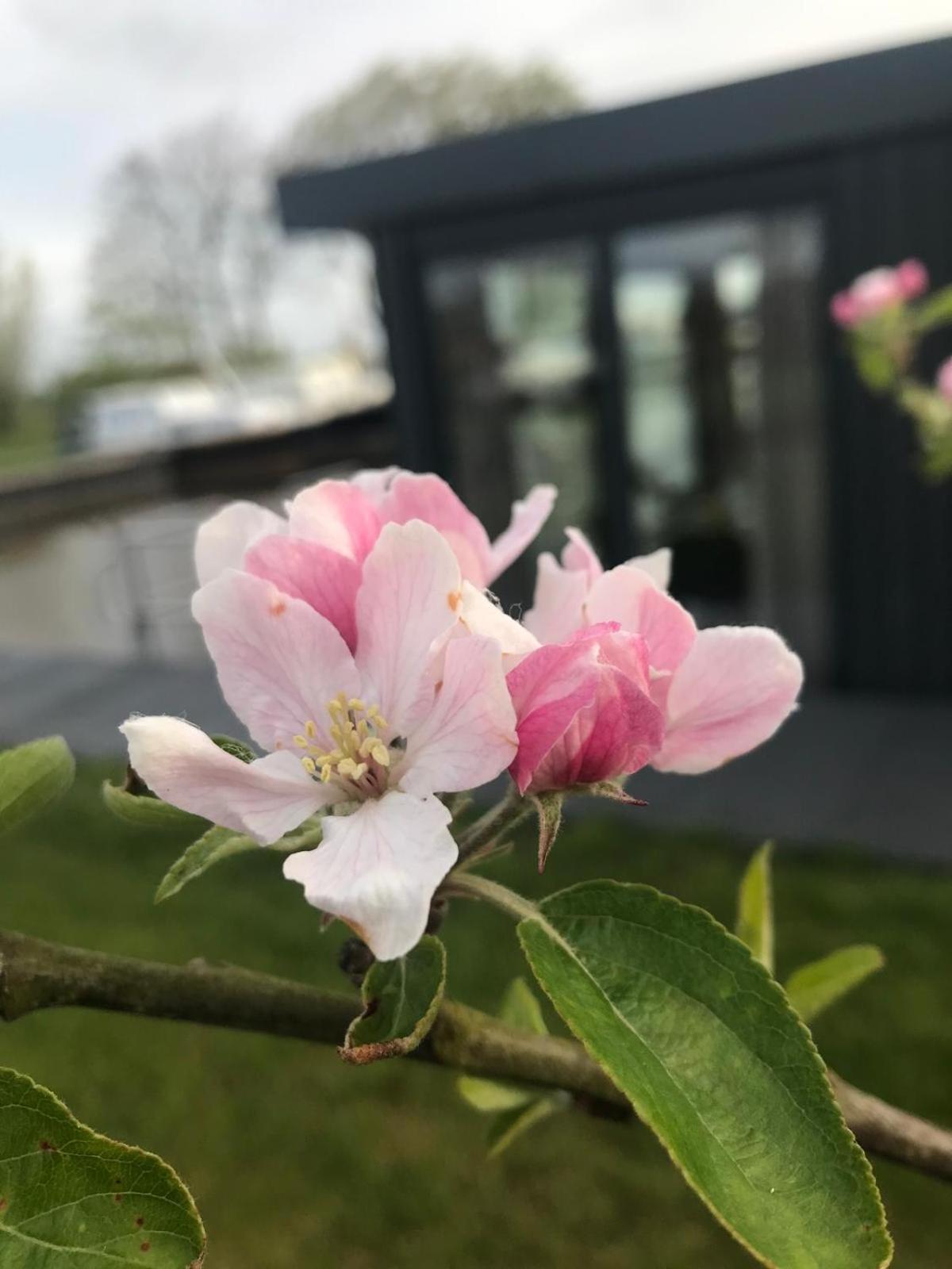 Uniek Overnachten In Een Tiny House Op De Appelhof Wommels Exteriör bild