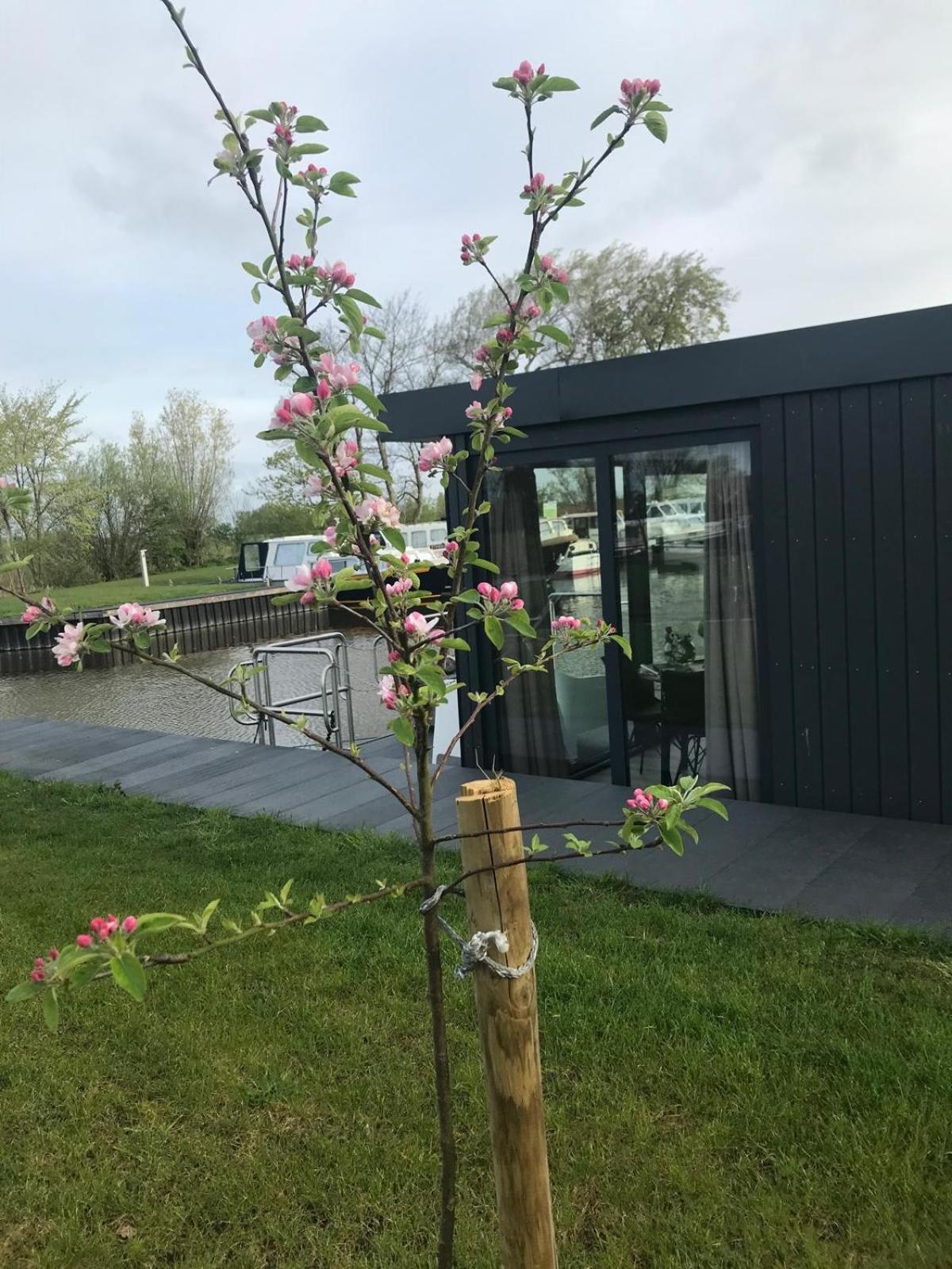 Uniek Overnachten In Een Tiny House Op De Appelhof Wommels Exteriör bild